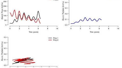 Animation of predator-prey interactions.