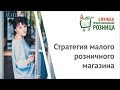 ПРОФЕССИОНАЛЬНАЯ РОЗНИЦА 2. Стратегия малого розничного магазина