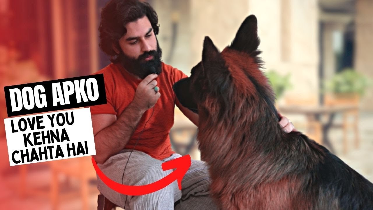 Signs That Dog Loves You HINDI/URDU YouTube