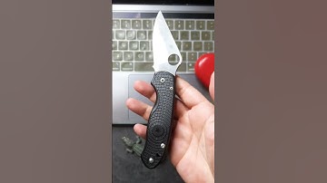ASMR Fidgeting Spyderco Para 3 Lightweight Compression Lock