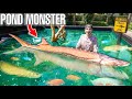 Buying POND MONSTER OFF THE WEB For My 4000G Pond! (Sturgeon)