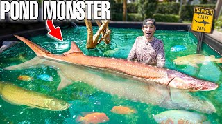 Buying POND MONSTER OFF THE WEB For My 4000G Pond! (Sturgeon)