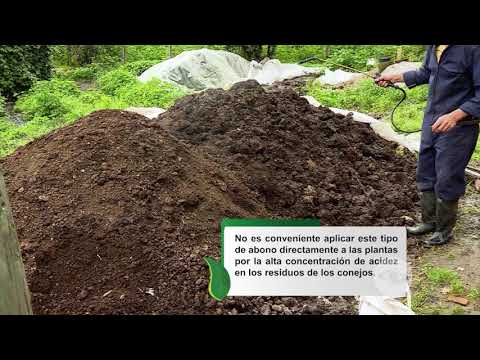 Video: ¿Cómo se fertiliza el estiércol de conejo?