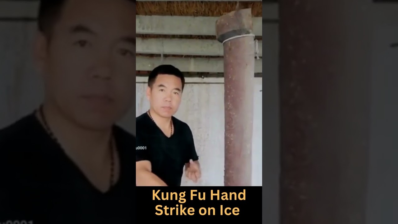 Kung Fu Hand Strike on Ice 👀💥👊 Martial Arts  