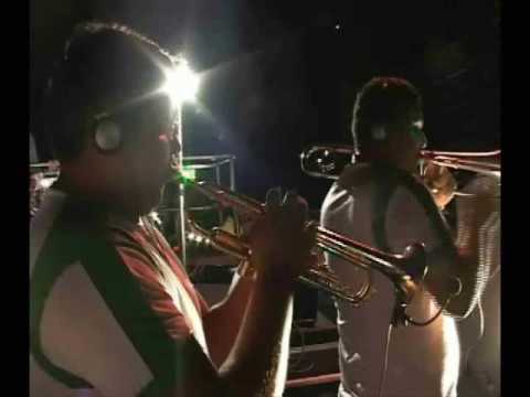 Banda Dettona - Ave sem ninho