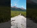 Республика Бурятия. Аршан. Горы Саяны. Каменная река после схода селя.