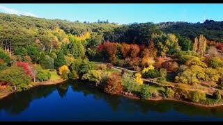 Mount Lofty Botanic Garden