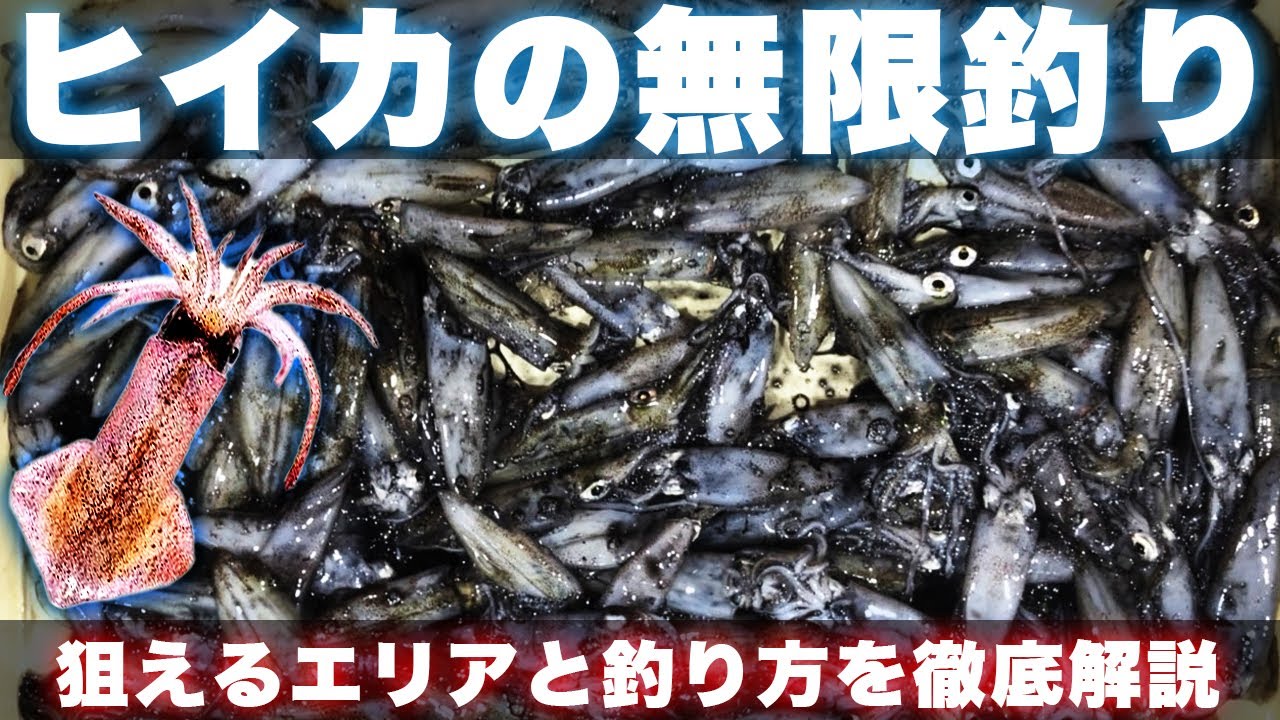 ヒイカの釣り方 寒波で大量発生中 釣り方とポイントを徹底解説 アオリイカのエギングもいいけど 真冬はヒイカで決まりです Youtube