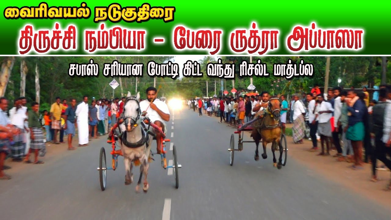 நடுகுதிரை  வைரிவயல் 27/04/2022 nadu kuthirai   vairivayal  krish rekla ra