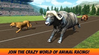 Wild Animal Racing Fever 3D - Android Gameplay #4 | Dishoomgameplay screenshot 2