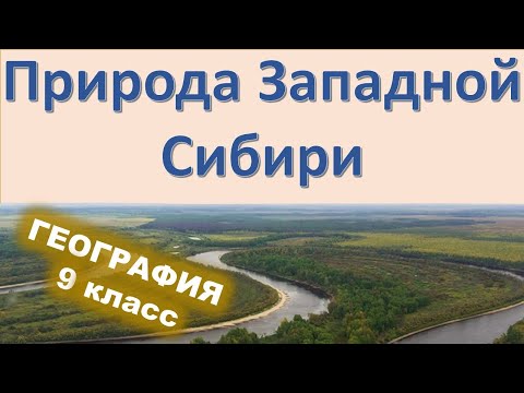 Природа Западной Сибири 9 класс география