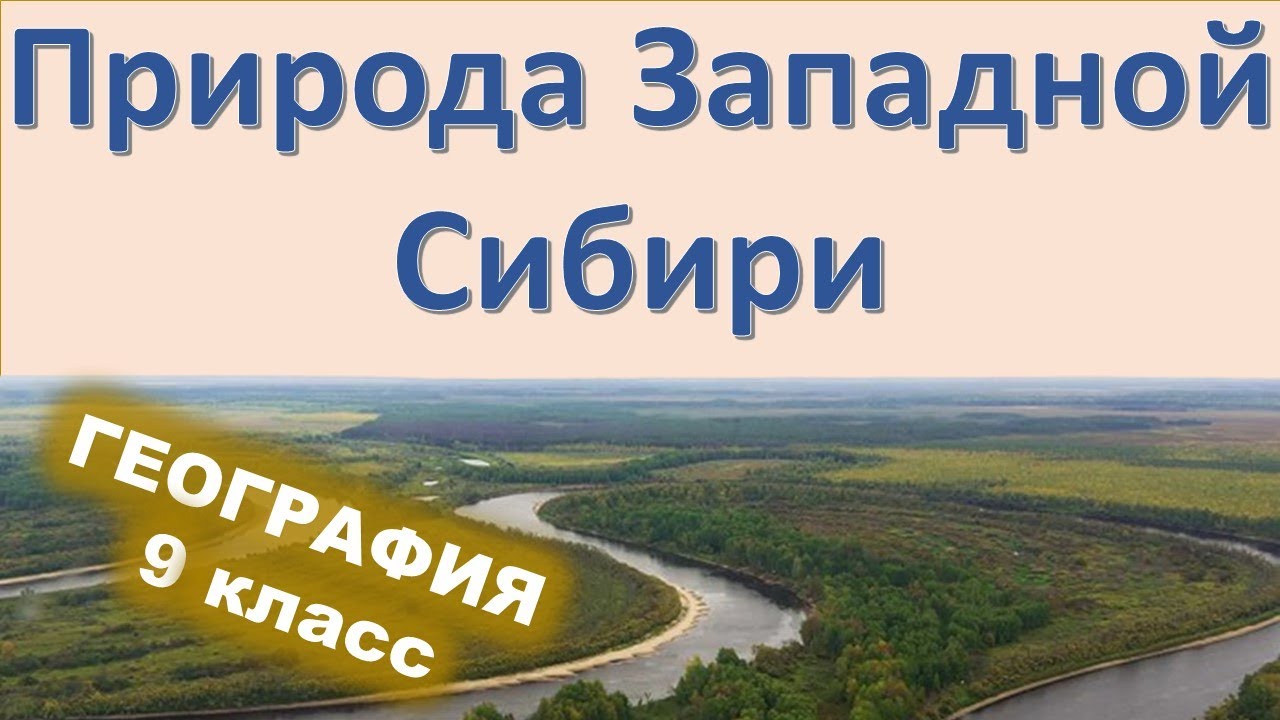 Природа западной сибири 9 класс география. Тест природа Сибири 9 класс с ответами.