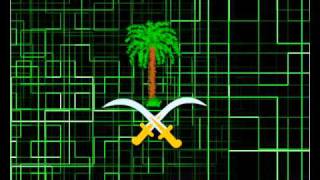 شعار السعودية سيفين ونخلة  جرافك ناصر السيد