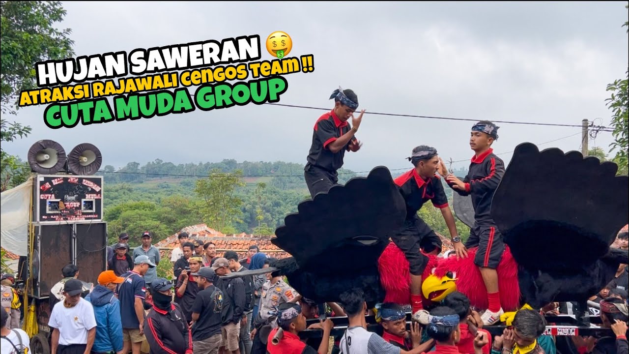 ATRAKSI RAJAWALI CENGOS TEAM ‼️ HUJAN SAWERAN 🤑 CUTA MUDA GROUP DI CISITU SUKASARI