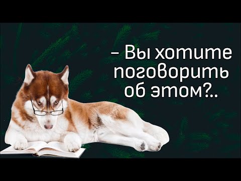 О стерилизации, сепарационную тревогу, про натянутый поводок и "хрустальных" собак.