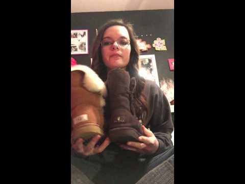 Video: Perbedaan Antara Uggs Dan Bearpaw