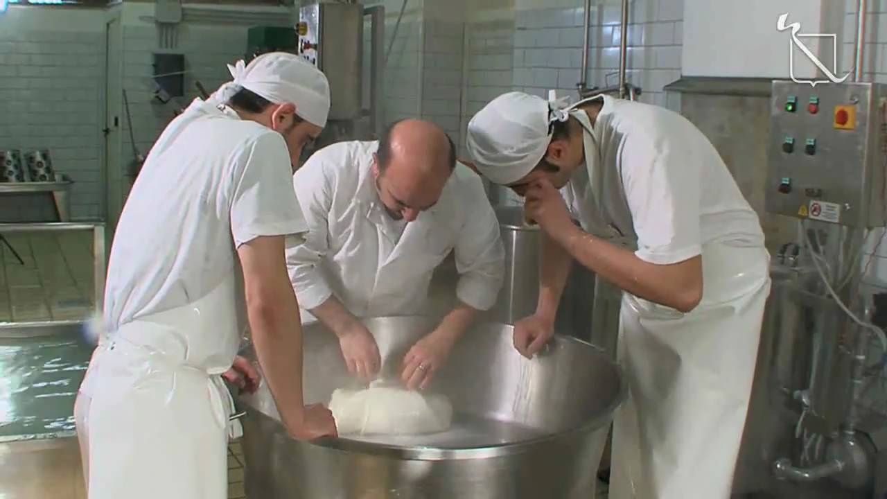 Campania - Le terre di don Peppe Diana