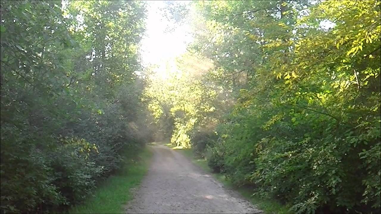 Smoke in Lamoreaux Park YouTube