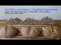 Coil fold vs slap & fold vs no-knead sourdough experiment - longer autolyse edition