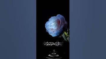 صباح الخير 🌺 اجمل حالات واتس آب مقاطع قصيره 🌺 قران كريم ان الله وملائكته يصلون على النبي🌺 بدون حقوق
