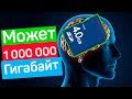 Сколько гигабайт памяти может вместить наш мозг?