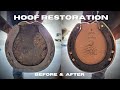 Farrier asmr  full hoof restoration  oddly satisfying