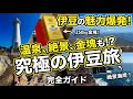 車でGO 伊豆 時短観光