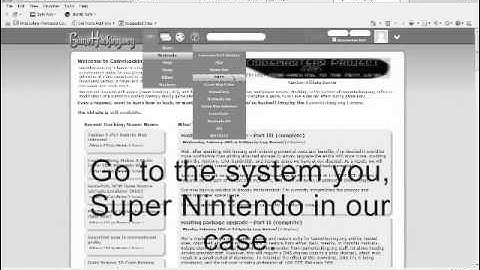 How to add cheats into ZSNES
