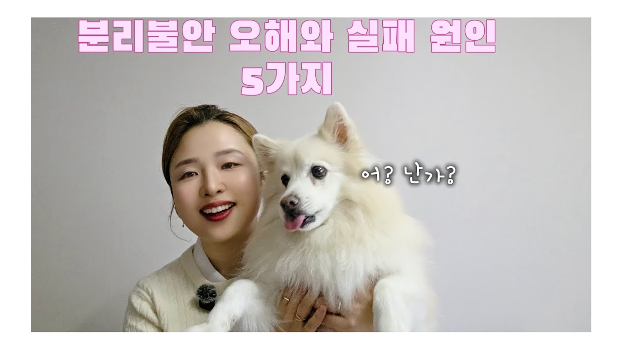 반려견 분리불안 오해와 실패 원인 5가지