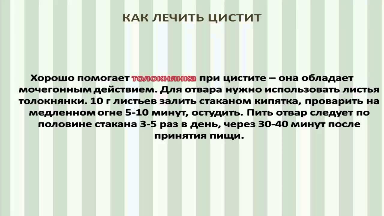 Как лечить цистит у женщин народные. Лечение цистита народными средствами Russianhunt интернет магазин. Лук от цистита. Как лечить цистит луком. ЗОЖ цистит народного средств.