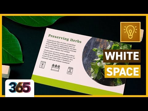 ⏹ White Space | Theory Tutorial #110/365