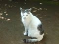 ビバリー 徳光 正行 ビバリー 徳光 正行