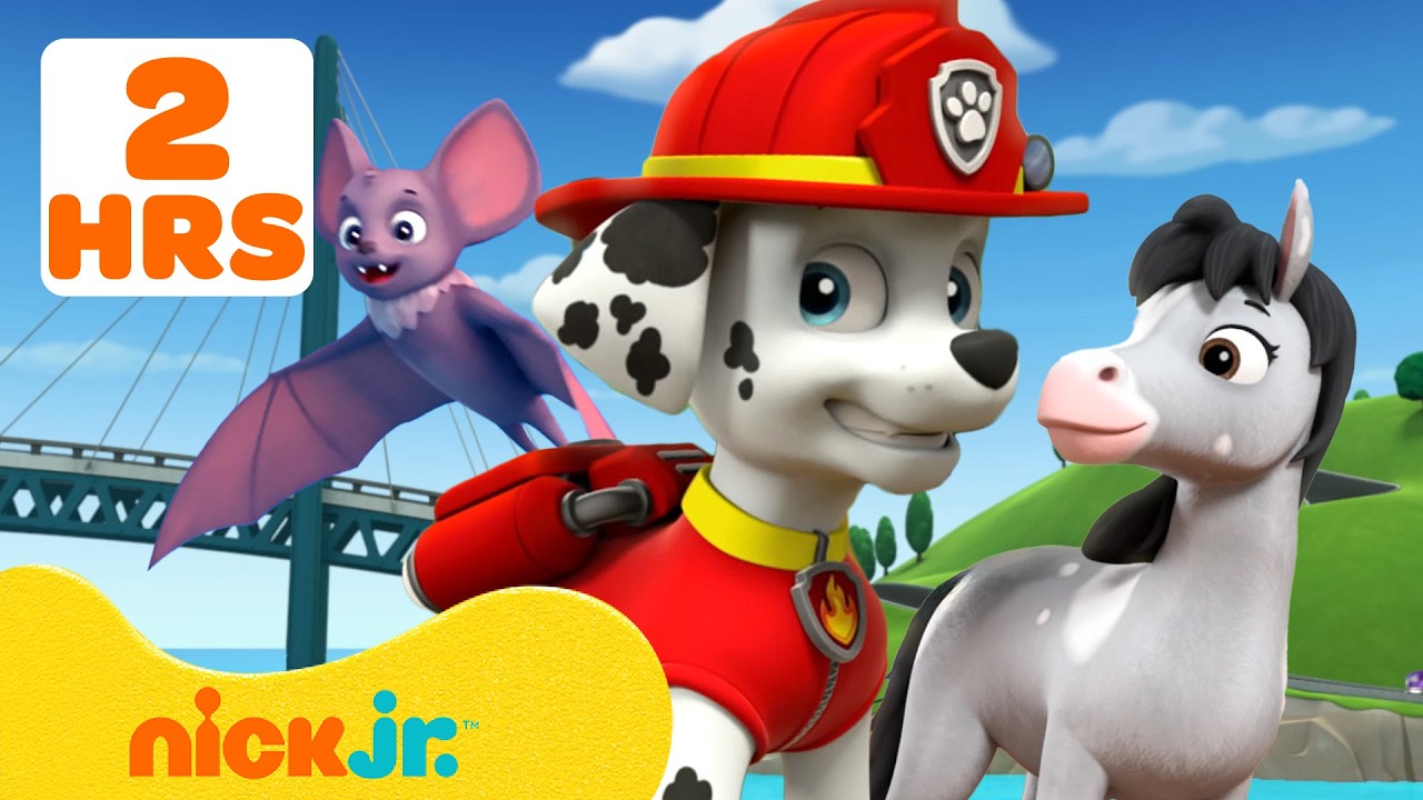 دوريات المخلاب |  دورية المخلب: مهمّات إنقاذ الحيوانات في خليج المغامرات! #3 🐻‍❄️🦉 | Nick Jr. Arabia