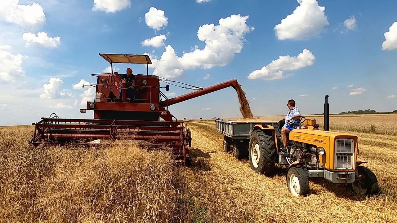 Żniwa 2020/ Awaria na polu/ Bizon w akcji/ Ursus C-360 i 4 Przyczepy