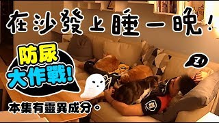 【黃阿瑪的後宮生活】在沙發上睡一晚直擊阿瑪撞牆