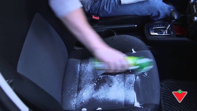 4 Things You Can Do to Protect Your Car's Interior - Steve's