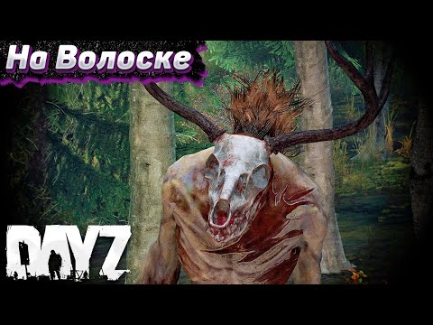 Видео: Неожиданная Встреча. Dayz Хардкор Весна. Серия #10