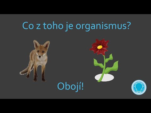 Video: Je člověk jednobuněčný nebo mnohobuněčný?