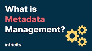 What is Metadata Management?