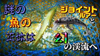 【渓流釣り】　謎の渓魚の正体が知りたい！ジョイントルアーと共に再び幻の渓へ