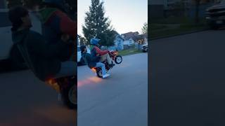 The little 70 that could #ct70 #hondadax #trail70 #honda70 #fyp #wheelie #pnw