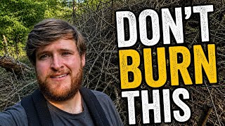 Why Everyone Needs a Brush Pile