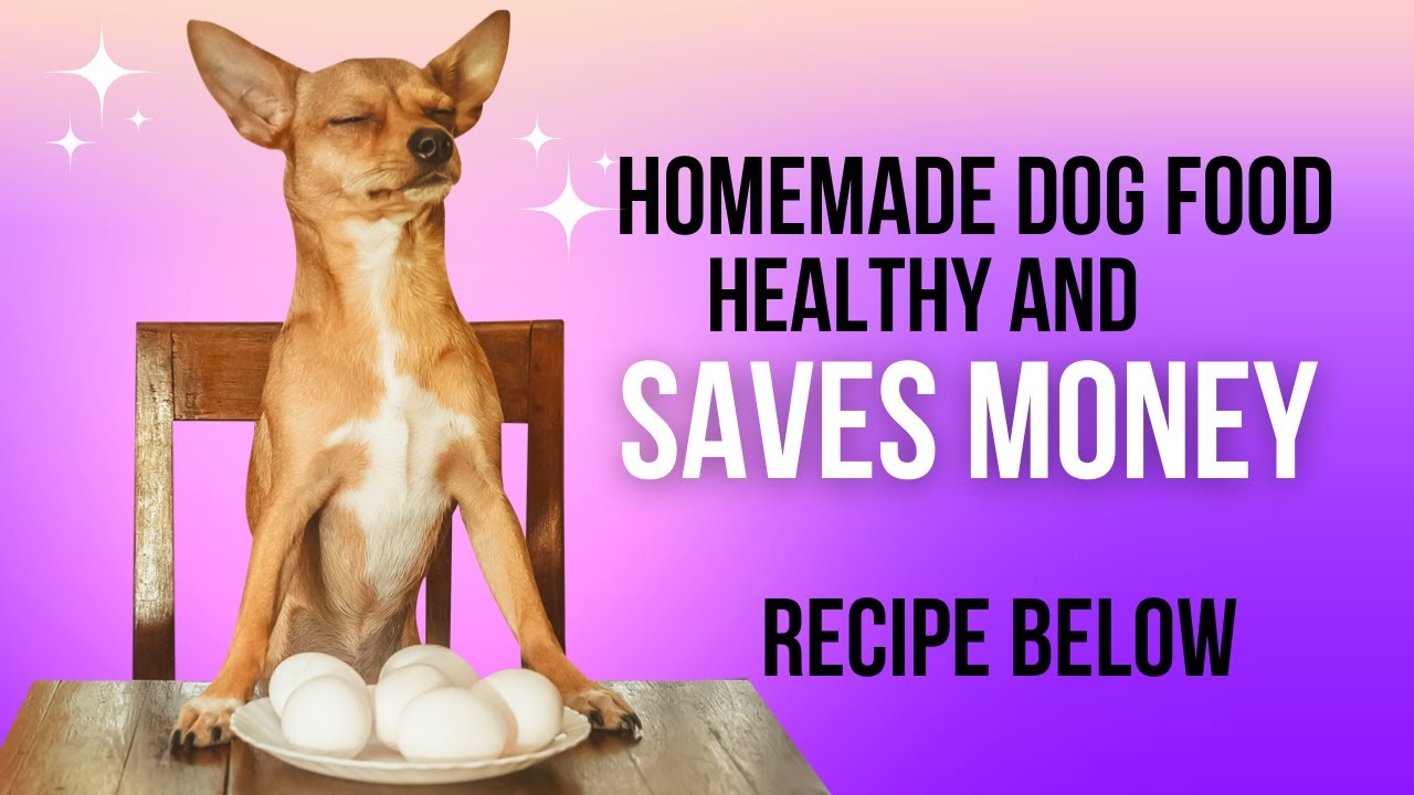 Homemade Dog Food: Keep Your Dog Healthy & Save Money! Recipe in description.