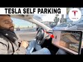 Tesla Auto Park Feature | Indian Vlogger | Hindi Vlog | This Indian