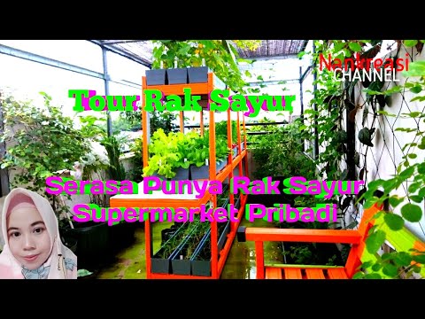 Video: Kebun Sayur Dalam Wadah