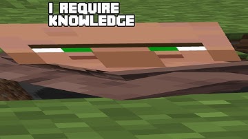 INFINITE VILLAGERS + Start of The Spawnchunks Platform