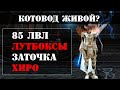 В чем смысл игры на Essence? / Успехи и неудачи КОТОВОДА 85+ / Lineage 2 Essence