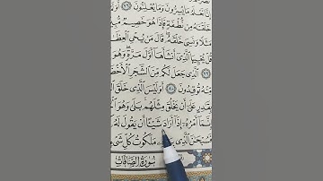 أواخر سورة ياسين قلب القران #لايك #اكسبلور #الوطن_العربي #الجزائر #quran #تيك_توك #القرآن_الكريم