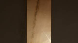 Download Lagu qert MP3