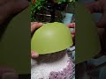 Kue Putu Ubi ungu #cake  #ubiungu